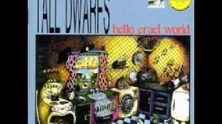 Tall Dwarfs - All My Hollowness to You