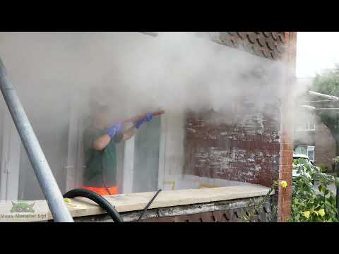 MOSS MONSTER LTD video.