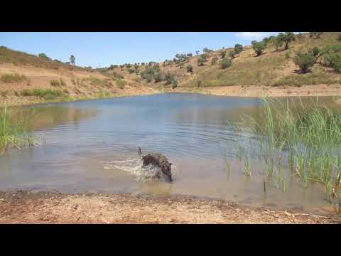 329/ Aussteigen mit zu wenig Geld,  Algarve, Portugal