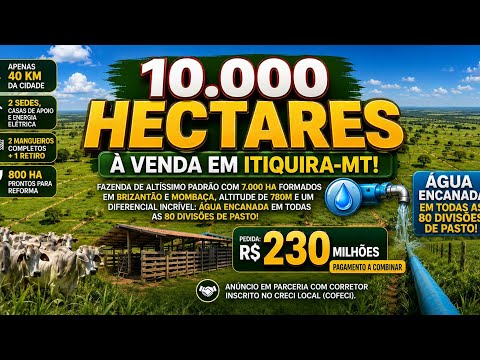 Fazenda de 10.000 Hectares à Venda em Itiquira MT | Altitude 780m e 80 Divisões de Pasto