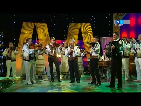 Dinastia Stefanet și Ansamblul Fluieras