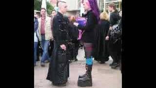 the mission uk  bird of passage