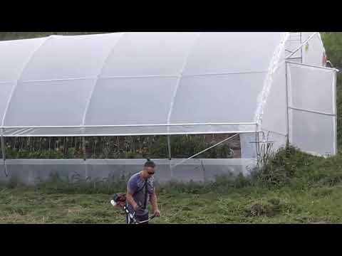 Eldin S Trimer 18 07 2022