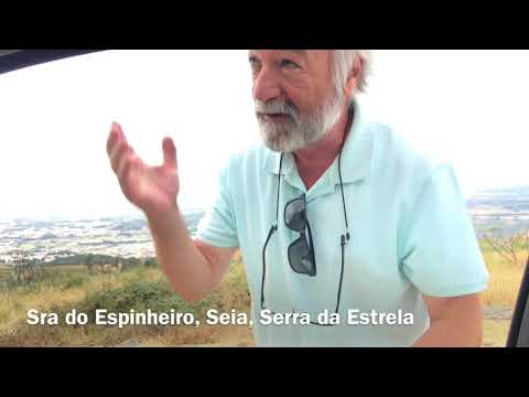 Nega video