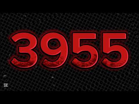 3955+