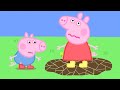 Peppa Pig English Episodes | Peppa Pig's Muddle Puddle Jump