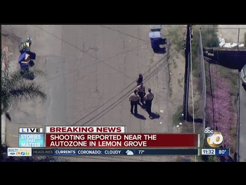 Auto Zone Lemon Grove