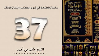 ٣٧. سلسلة العقيدة في ضوء الكتاب والسنة للأشقر - الشيخ عادل بن أحمد image