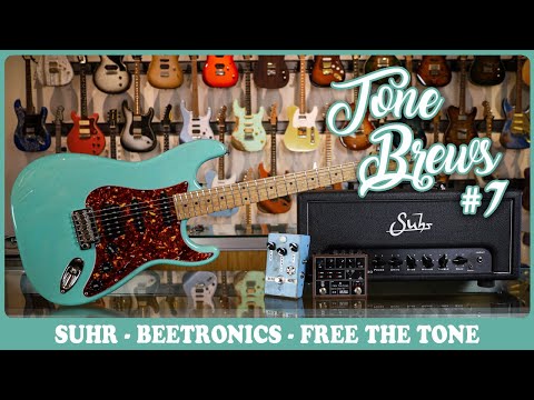 Free The Tone Ambi Space AS-1R Reverb Brown Metallic image 6