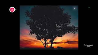 Música para acalmar, relaxar e dormir