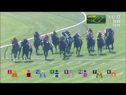 20/12/2020 (277) Daily Charm- M Chadwick