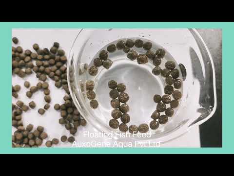 Floating fish feed, packaging type: bag, packaging size: 40k...