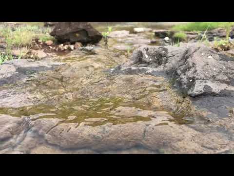 Nature speaks original sound Ajinkya Vlogs