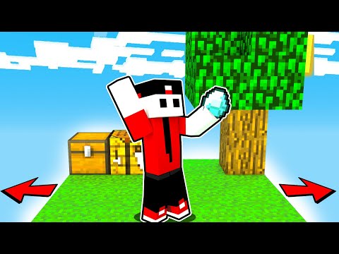 MINECRAFT MA IL MONDO SI ESPANDE AD OGNI OBIETTIVO