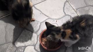 We do the humidity at night 😻