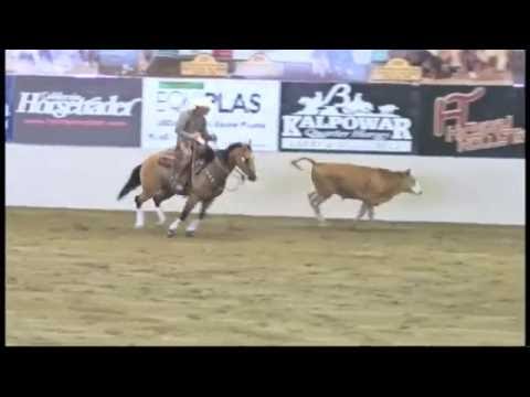 Shiners Darlin NSHA Open Two Rein 8/17/16