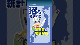 【沼る統計図鑑】消費者物価指数でわかる日本経済の「体温」