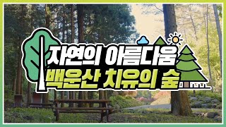 광양 백운산 휴양림 치유의 숲 소개