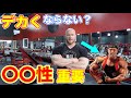 初心者が筋肉をデカくする為絶対やるべきこと【筋トレ】