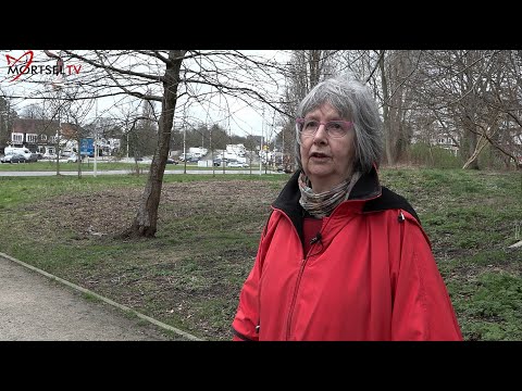 Snel een kijkje genomen: Updates over de R11 en berm in Wilrijk