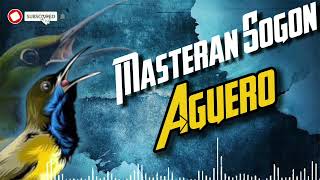 Download lagu MASTERAN SOGON AGUERO #sogokontong #sogongacor #sogonmateri mp3