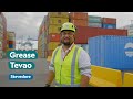 Stevedore