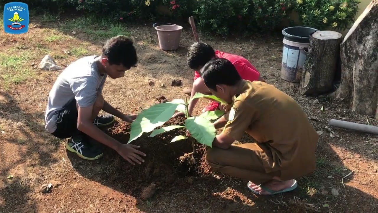 Bersih-bersih, Tanam Pohon & Ecobrick