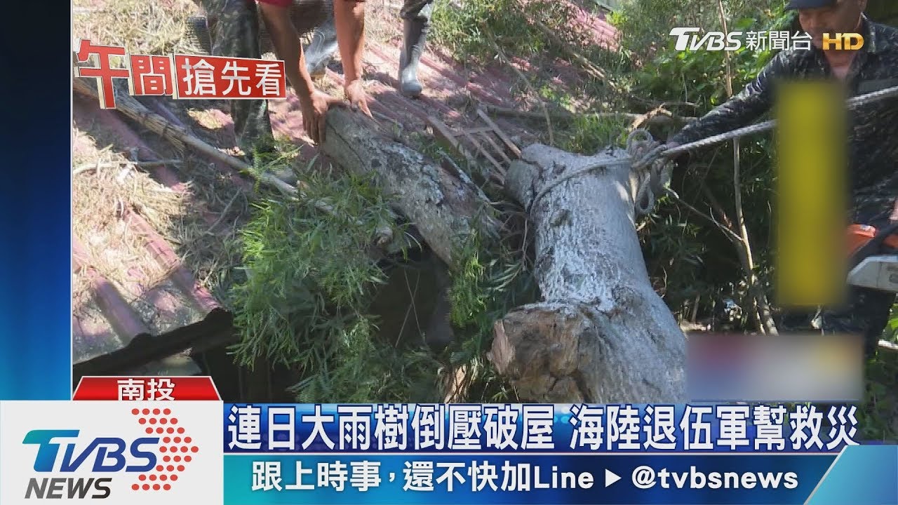 連日大雨樹倒壓破屋 海陸退伍軍幫救災