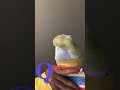 Bert And Ernie Letter Q Sesame Street