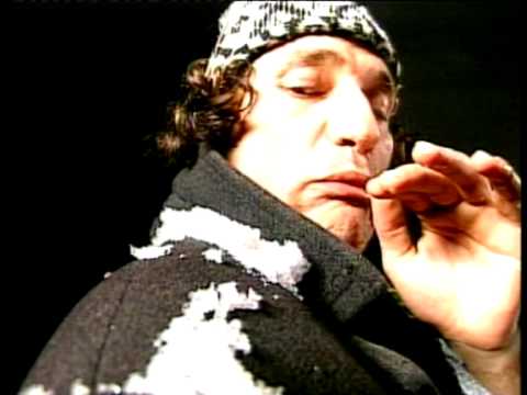 THE KUGUARS Zima - SPOT