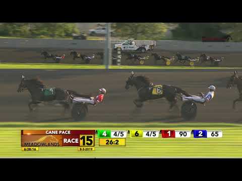 CANE PACE - RACE 15 - August 3, 2019