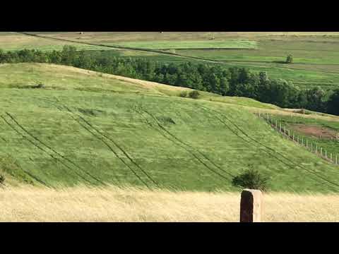 Hapria, Comuna Ciugud, Romania