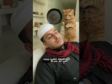 عامر انجلد من قطوة! 🤣🍳 #شباب_البومب #فيديو_ترند