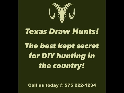 High Success Public Land Draw Hunts in Texas