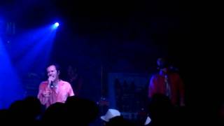 The Daddies -  Pink Elephant (Live)