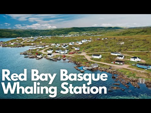 Exploring Red Bay Basque Whaling Station: A Journey Through Time