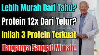 Download lagu 12x Lebih Hebat dari Telur! 3 Protein Ajaib Cegah Otot Menyusut untuk Lansia Panjang Umur mp3 Download lagu 12x Lebih Hebat dari Telur! 3 Protein Ajaib Cegah Otot Menyusut untuk Lansia Panjang Umur mp3
