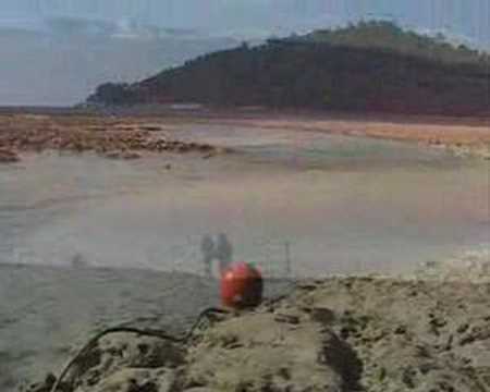 la ditta by elio e le storie tese