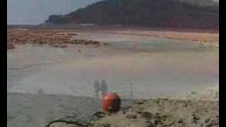 la ditta by elio e le storie tese