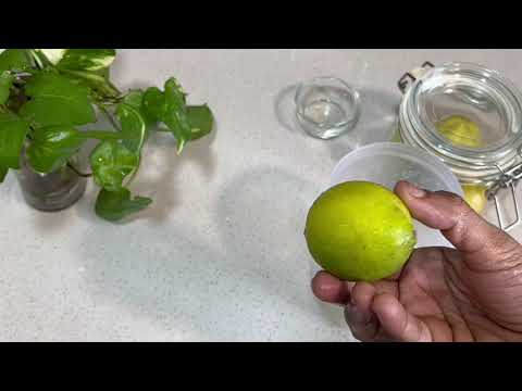 How to store lemon # Spruha Cuisine # Tip 2 #