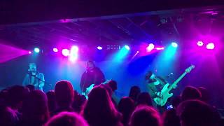 Miniature Tigers - &quot;Like or Like Like&quot; - Live in KC