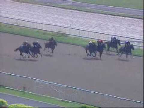 Honours Gift -  Second Trial - 10 Sep