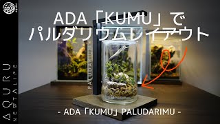ADA「KUMU」でパルダリウムレイアウトしてみました