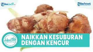 Meningkatkan Kesuburan Pria dengan Konsumsi Kencur, Kaya akan Antioksidan yang Bagus untuk Kesehatan