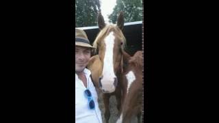 "Interroge la jument"