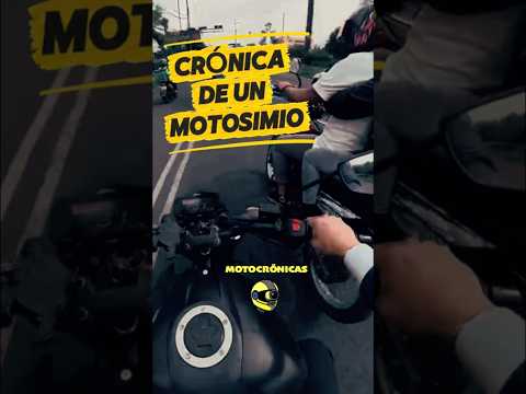 El motosimio de la semana: Crónica de un macho alfa. #crónicasmotovlog