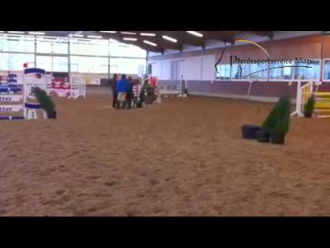 Charming *2005 www.pferdesportservice.de