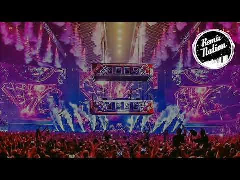 DV&LM Vs Wolfpack - Ocarina (Bassjackers remix)