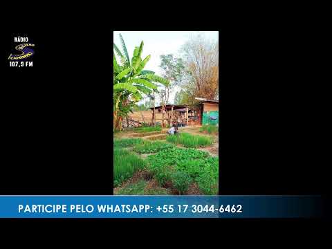 Caminho da Roça - Apresentação: Paulinho | 31/03/2026 - Parte 1