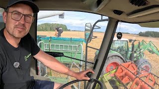 Claas Lexion 460 ir Fendt 724: Tęsiame grūdų kūlimą!